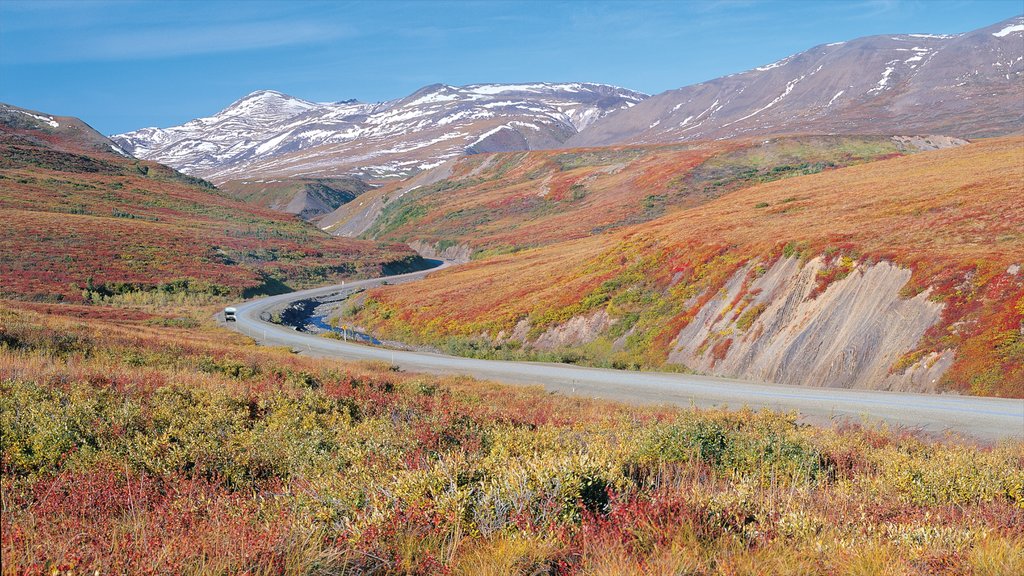 Northwest Territories som viser rolig landskap