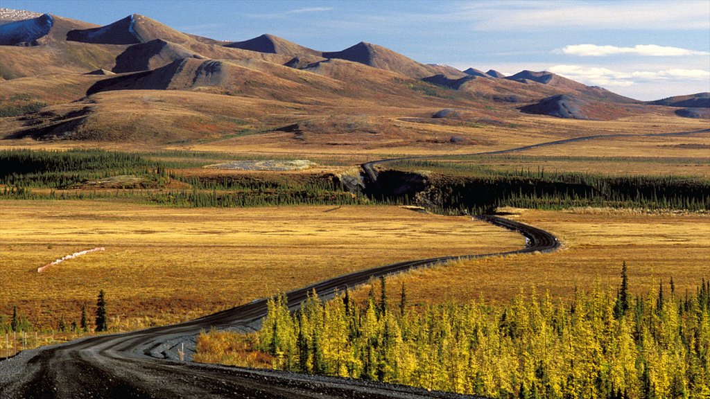 Northwest Territories showing tranquil scenes