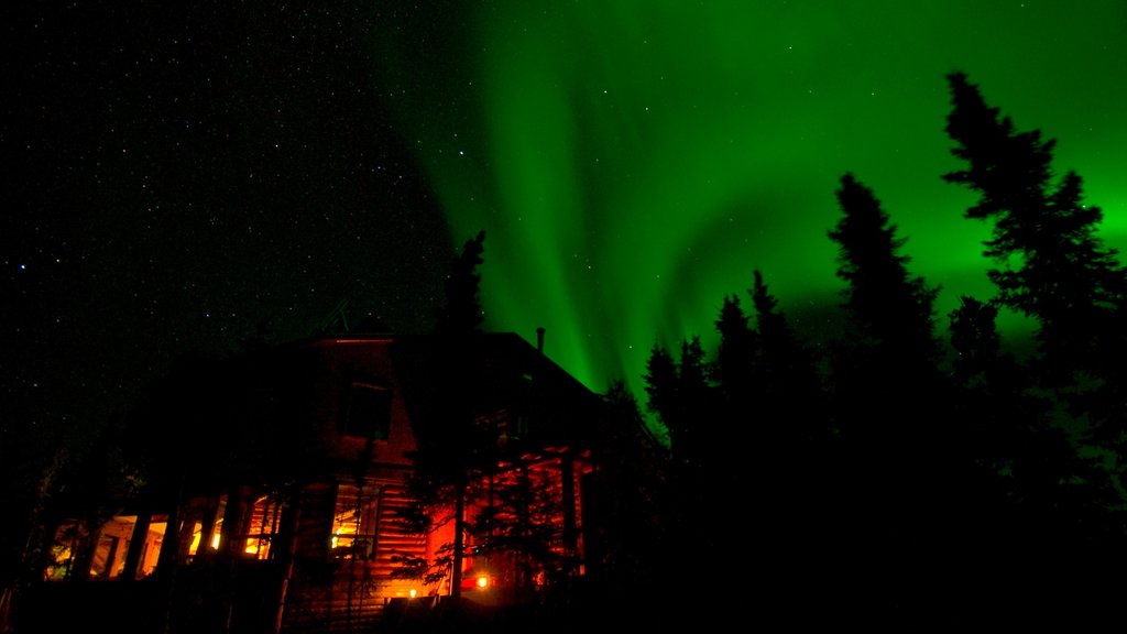 Northwest Territories showing night scenes and northern lights