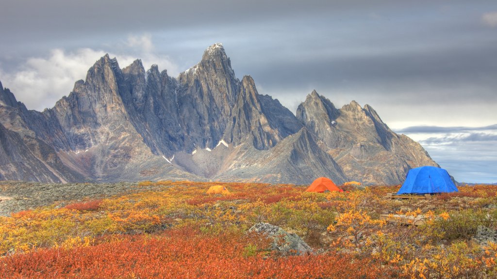 Yukon showing mountains and camping