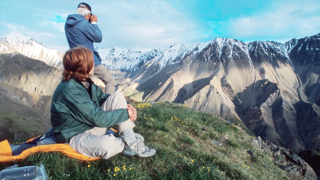 Yukon showing mountains and snow