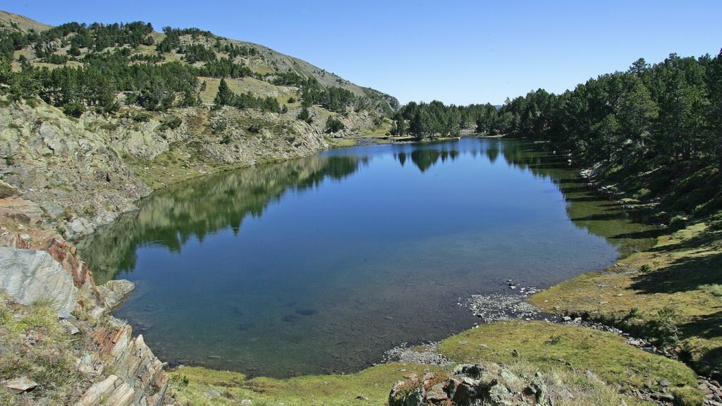 Quebec ofreciendo bosques, vistas de paisajes y un lago o abrevadero