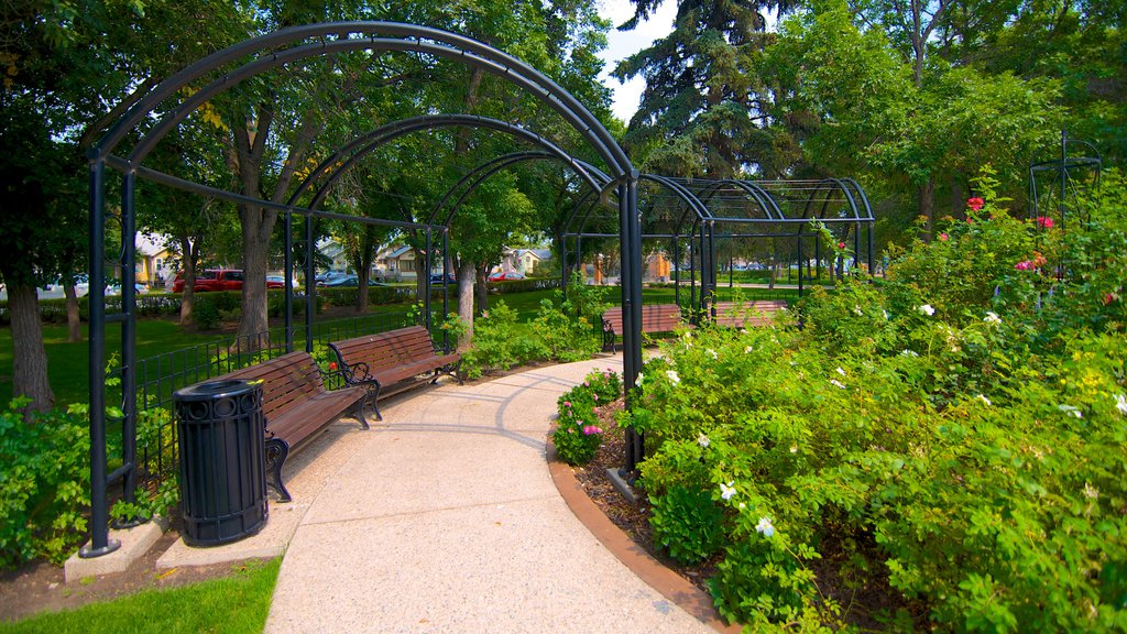 Government House featuring a garden