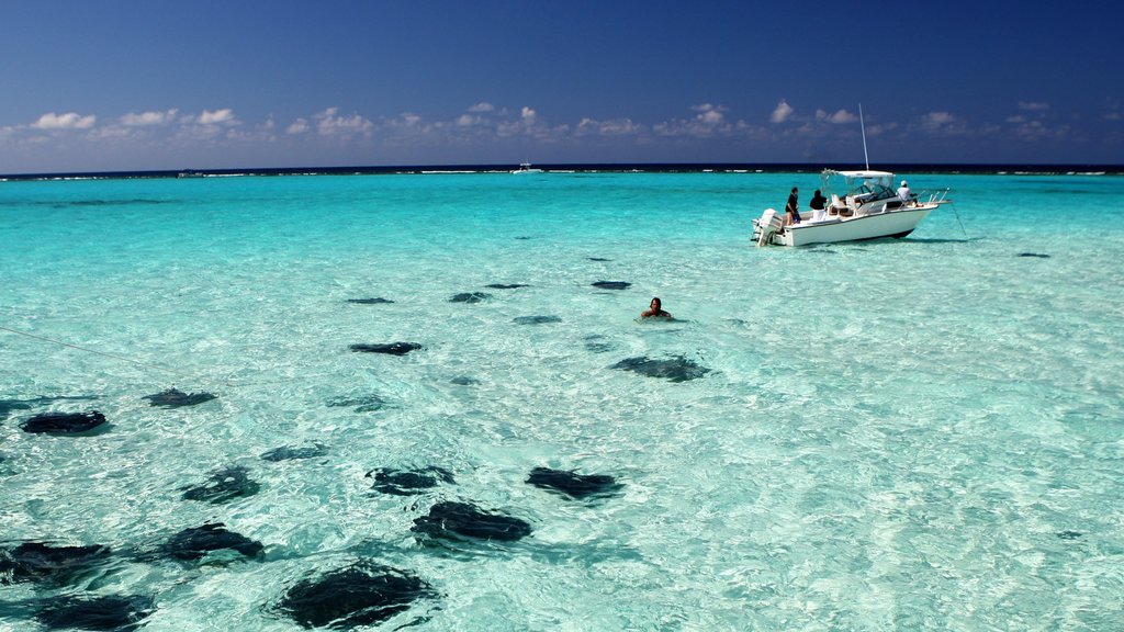 Grand Cayman featuring boating