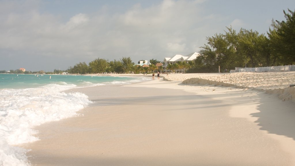 Grand Cayman som omfatter en strand