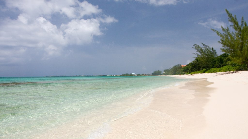 Gran Caimán mostrando una playa de arena