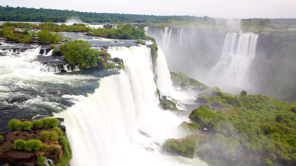 Iguazu featuring a waterfall