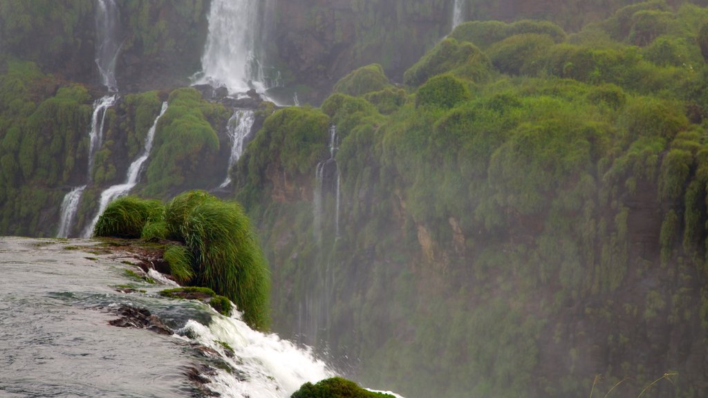 Iguazu showing a waterfall