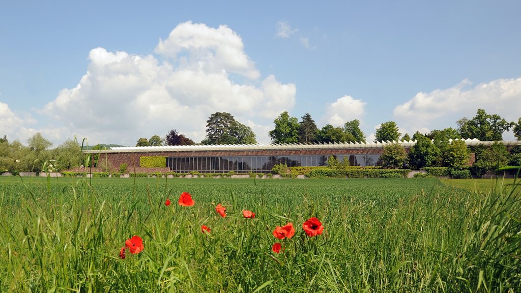 Beyeler Foundation which includes landscape views, forests and tranquil scenes