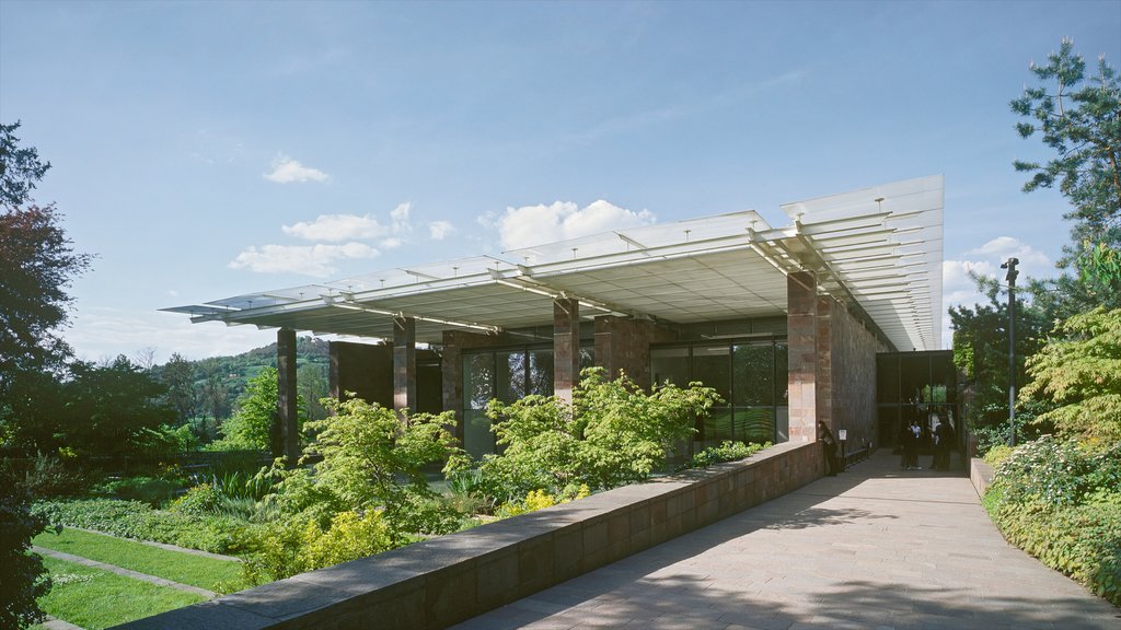 Beyeler Foundation which includes modern architecture