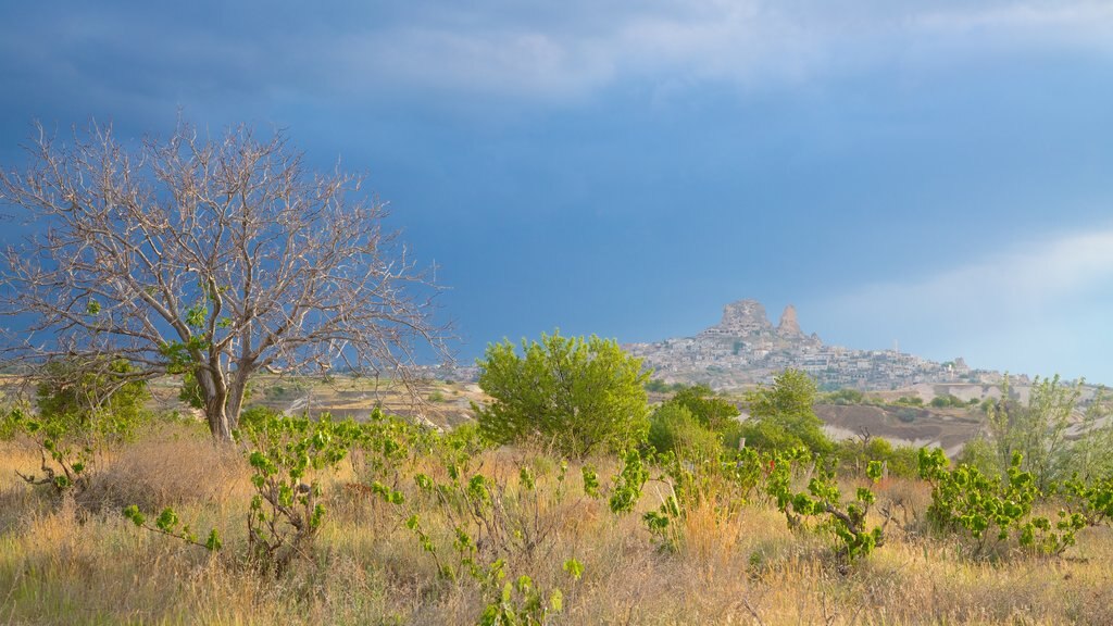 Uchisar Castle which includes tranquil scenes