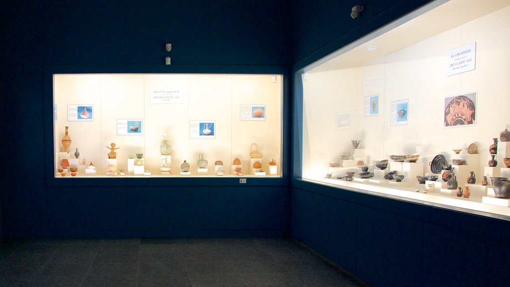 Antalya Museum showing art