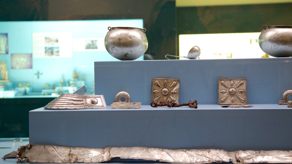 Antalya Museum showing art