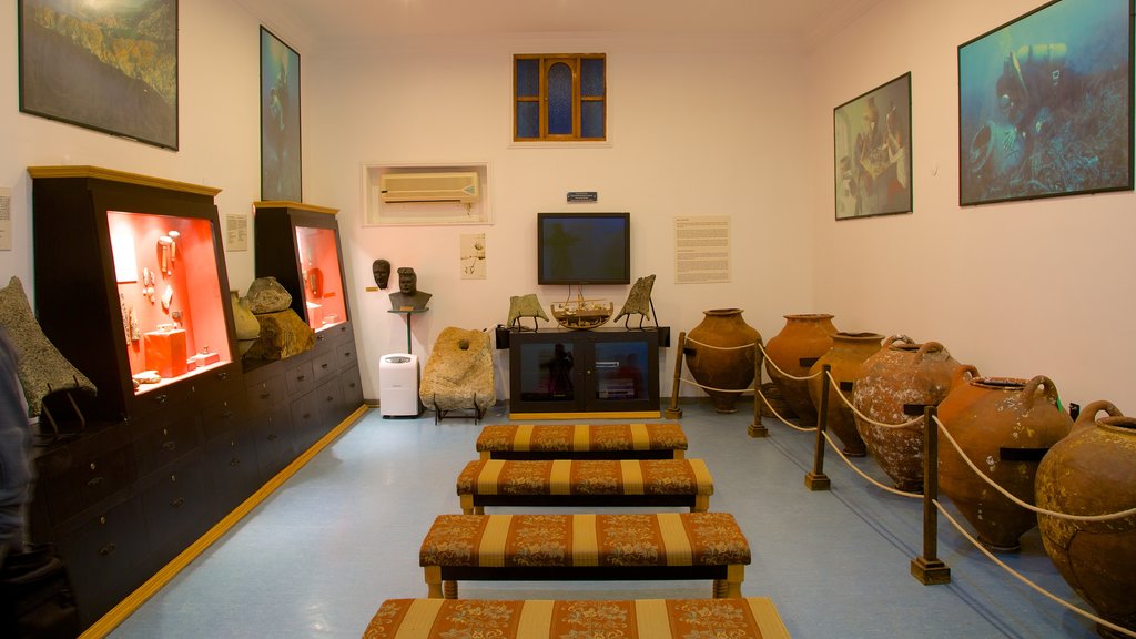 Museo de Arqueología Submarina que incluye vistas interiores