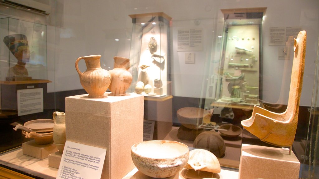 Museo de Arqueología Submarina ofreciendo vista interna