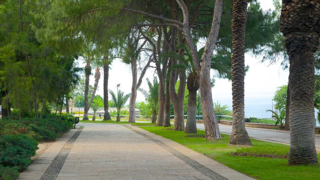 Karaalioglu Park showing landscape views and a garden