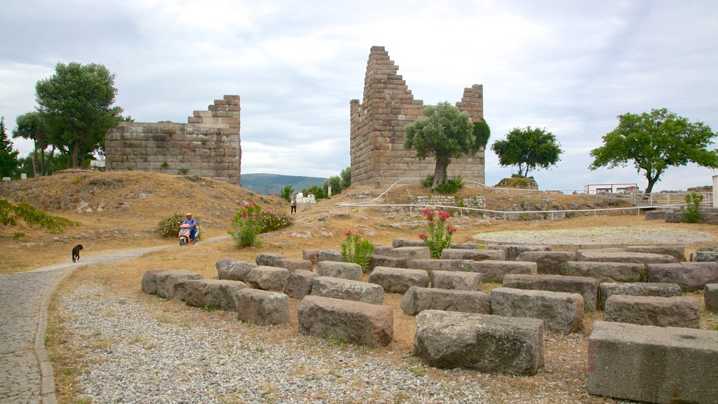 Myndos Gate featuring building ruins