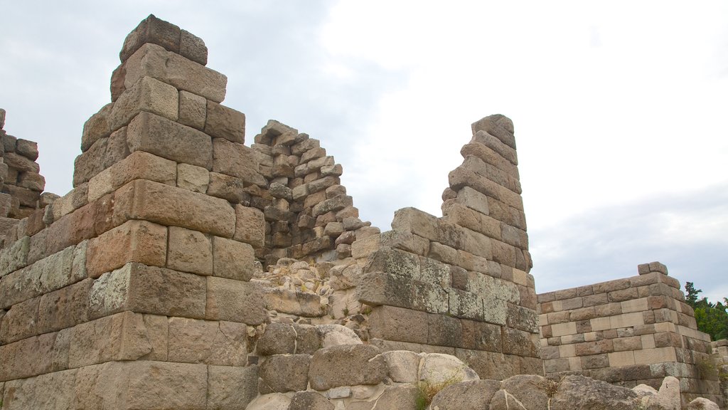 Myndos Gate featuring building ruins