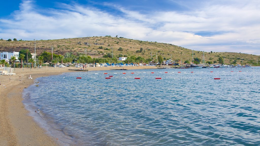 Bardakci Beach which includes general coastal views and a beach