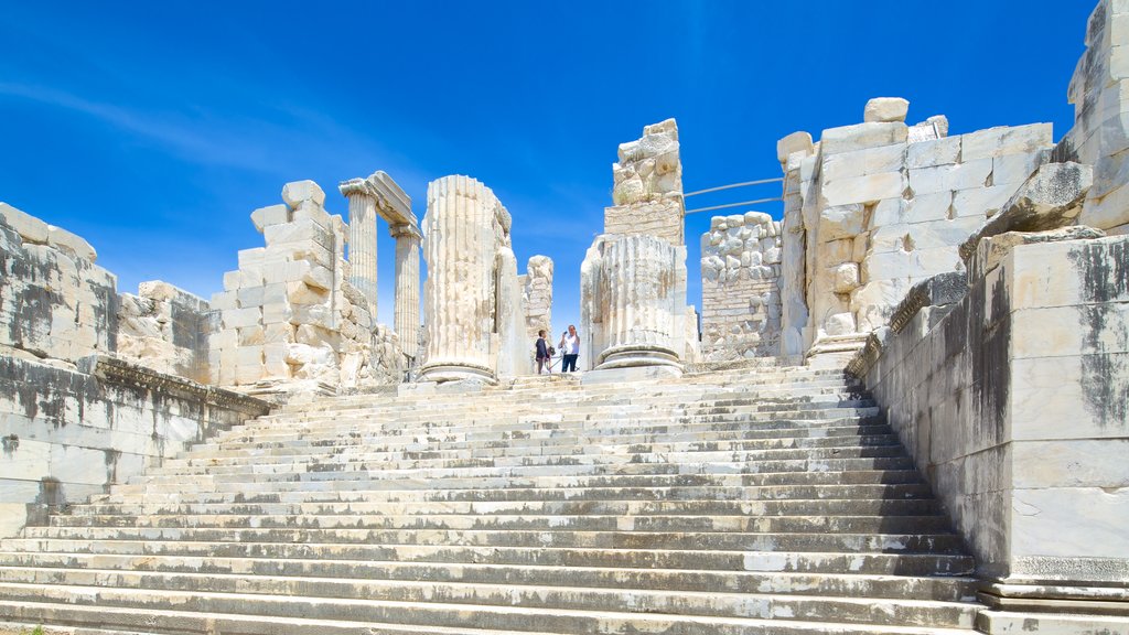 Temple of Apollo and Athena featuring building ruins