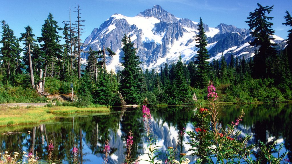 Bellingham que incluye un lago o espejo de agua, montañas y nieve