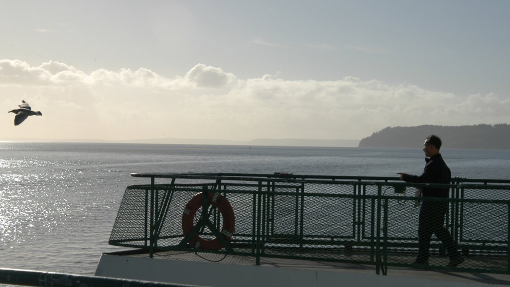 Mukilteo ofreciendo vistas generales de la costa y vistas y también un hombre