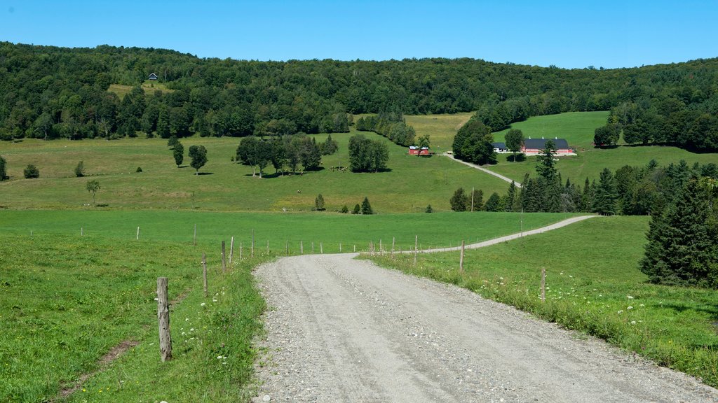 St. Johnsbury mostrando escenas tranquilas