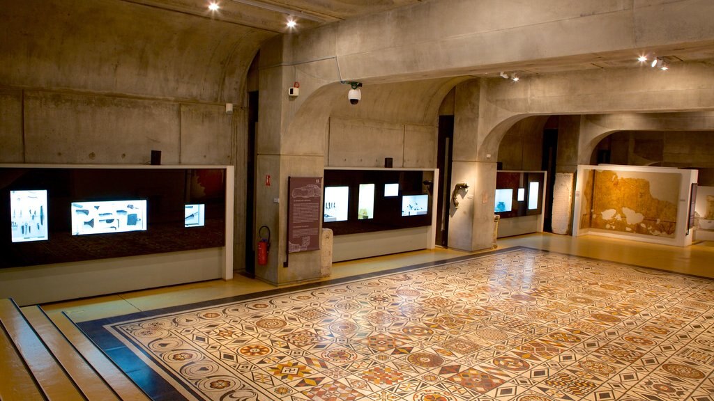 Musée de la Civilisation Gallo-Romaine