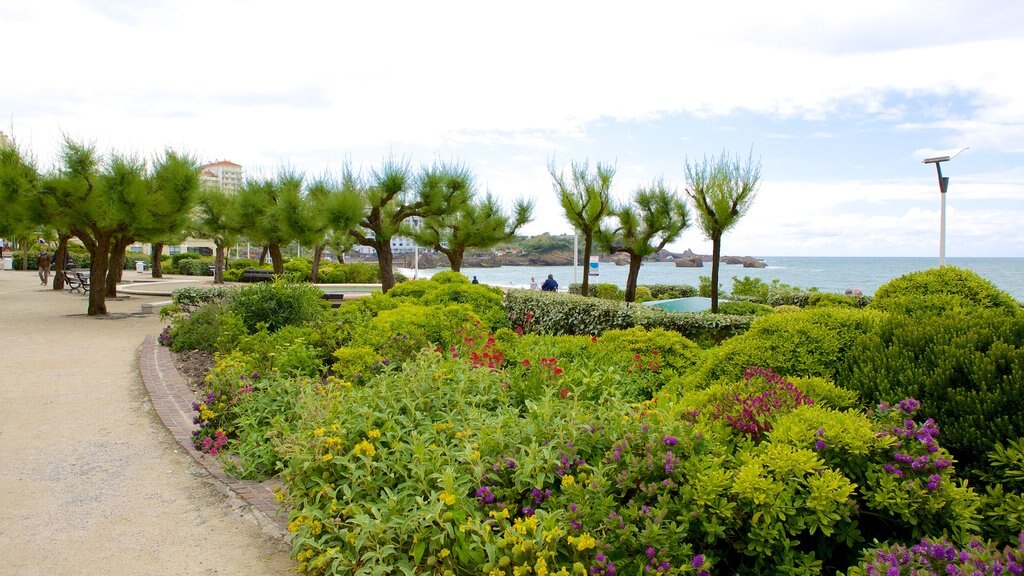 Grande Plage mit einem Park