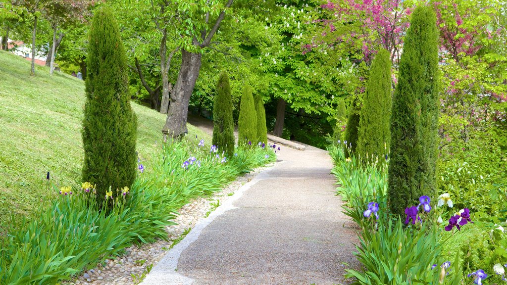 Notre-Dame Basilica showing a garden