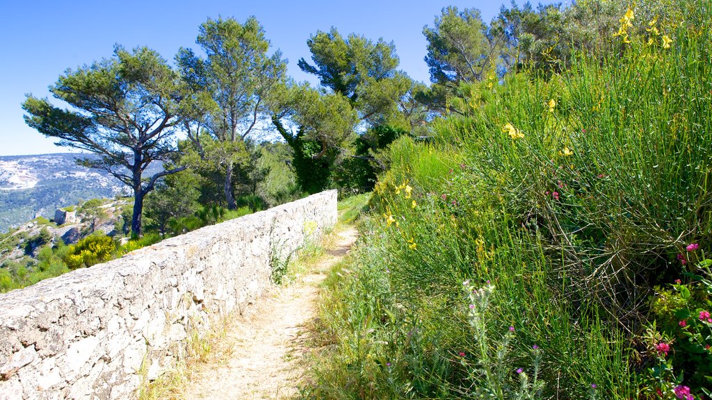 Mont Faron featuring tranquil scenes