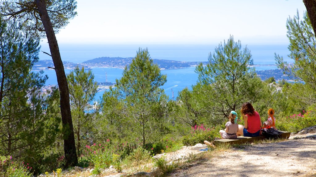 Mont Faron featuring forest scenes as well as a family