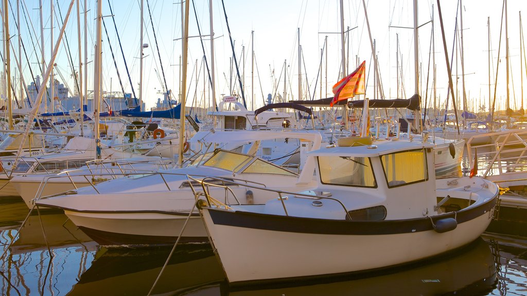 Toulon Marina mostrando paseos en lancha, una marina y navegación