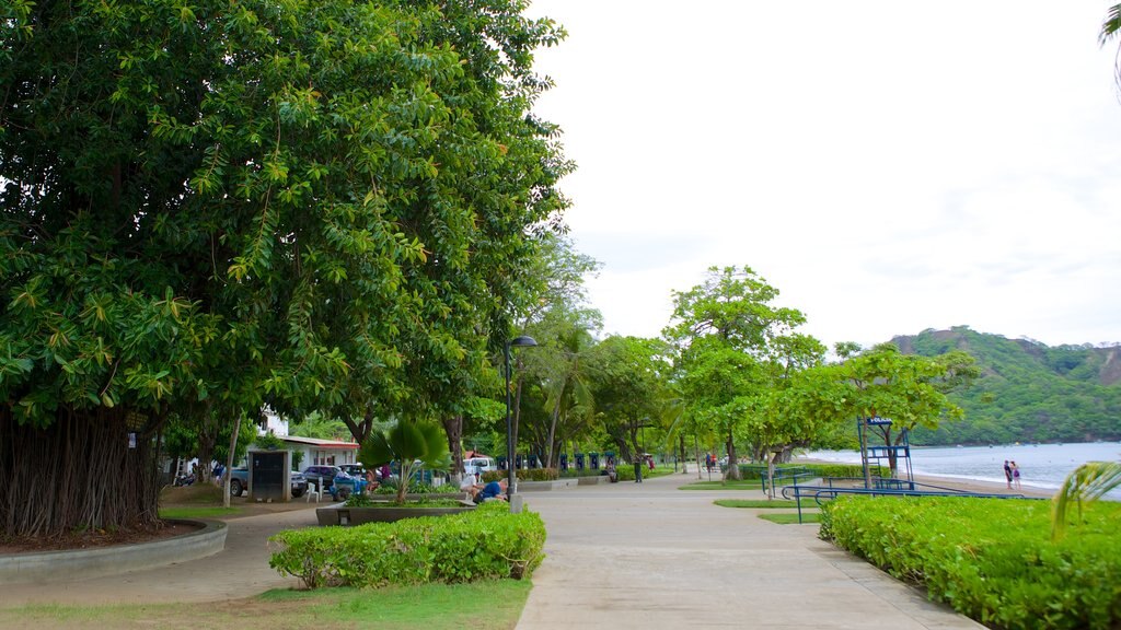 Playa del Coco mostrando jardín