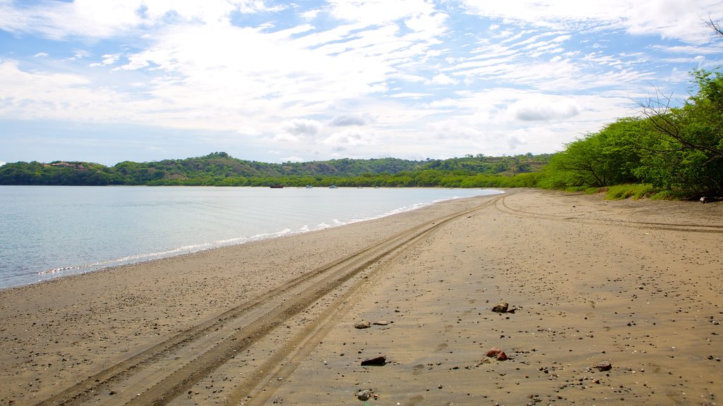 Plage de Panama montrant une plage