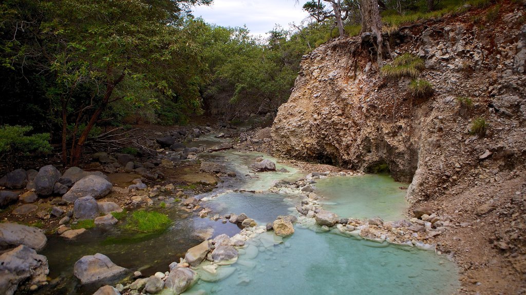 Parco Nazionale di Rincon de la Vieja mostrando fiume o ruscello