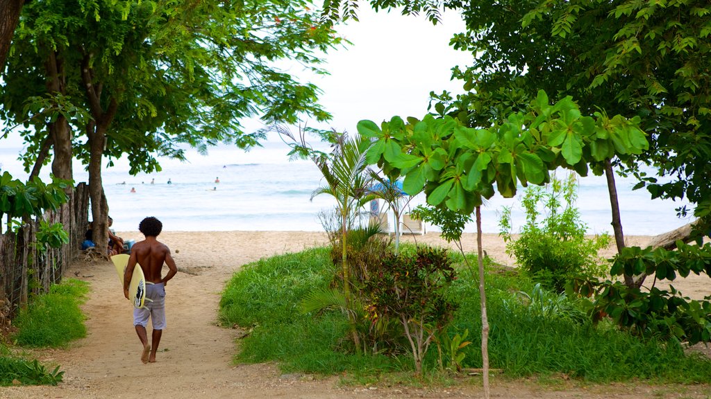 Tamarindo que incluye una playa de arena y también un hombre