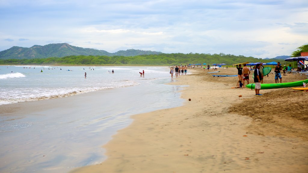 Tamarindo mostrando spiaggia sabbiosa cosi come un grande gruppo di persone