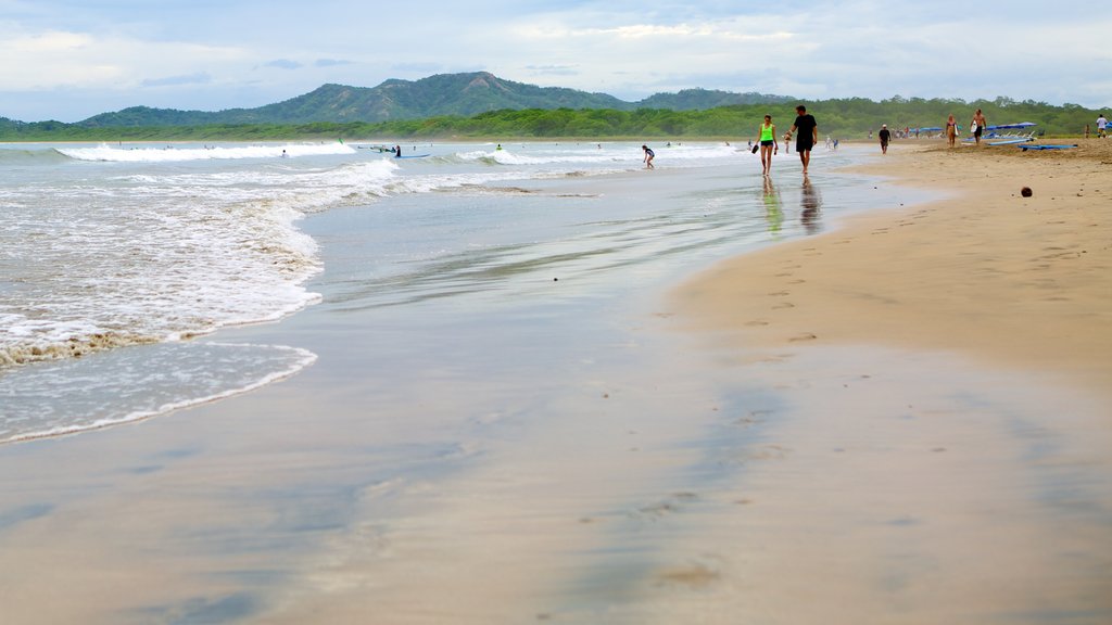 Tamarindo ofreciendo una playa