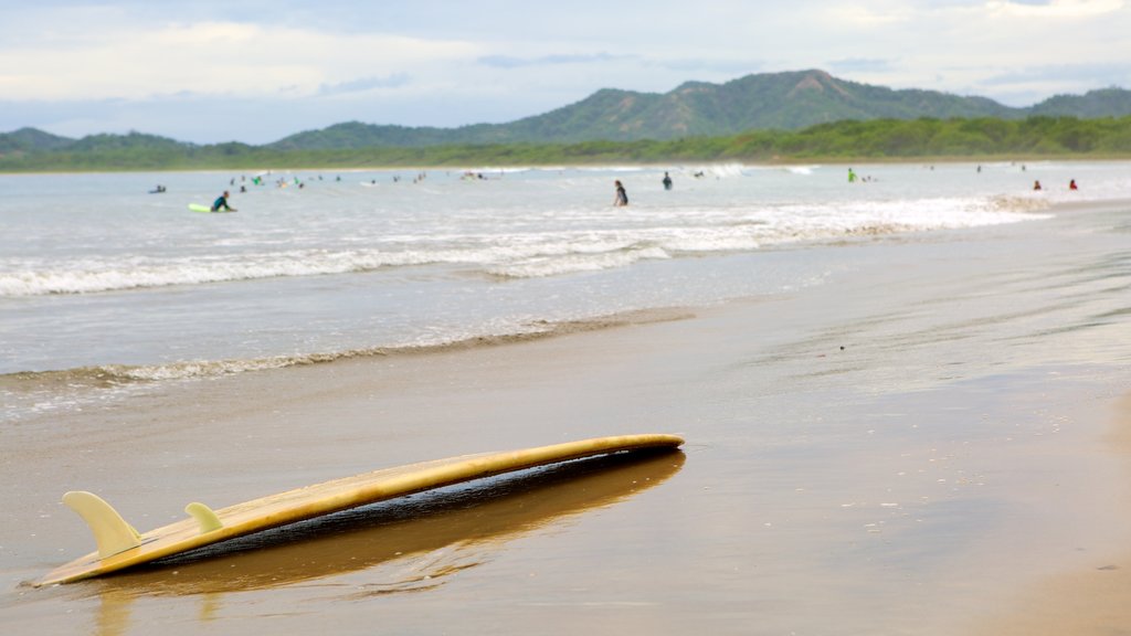 Tamarindo mostrando surf e spiaggia sabbiosa