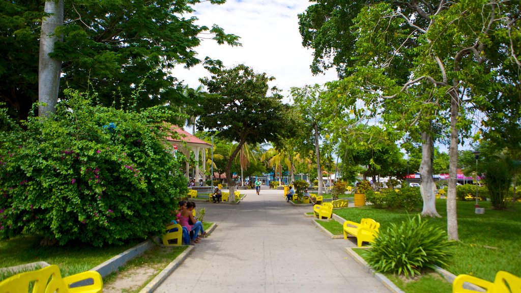 Liberia showing a park