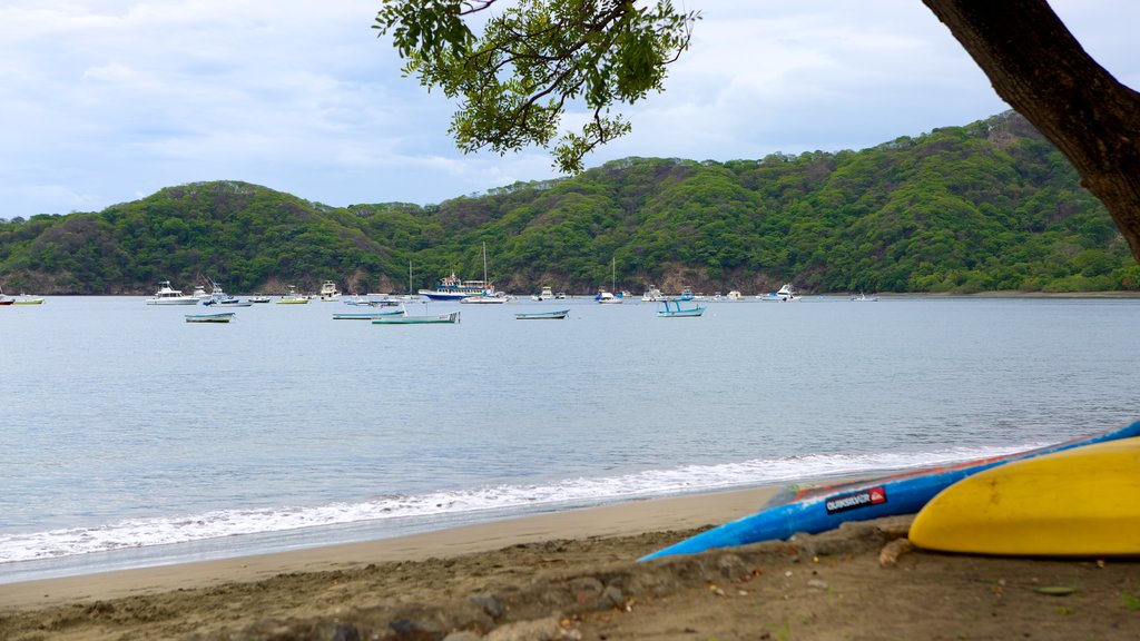 Coco Beach showing a sandy beach