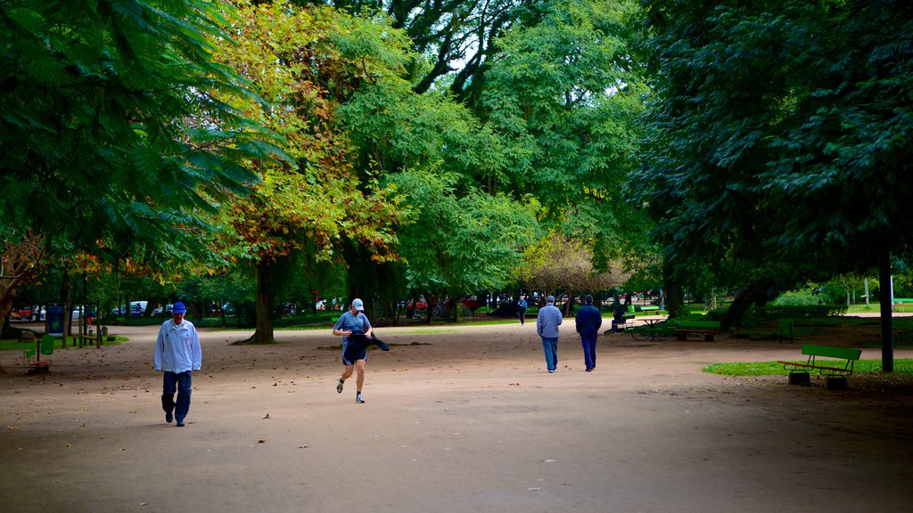 Parque Moinhos de Vento que inclui escalada ou caminhada e um parque assim como um pequeno grupo de pessoas