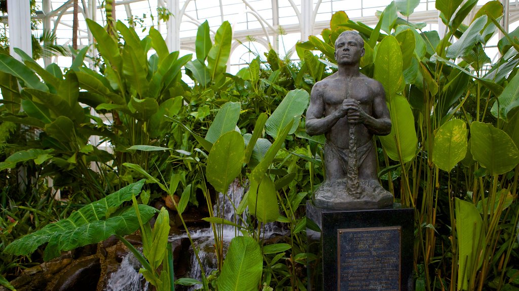 Parque Botânico de Curitiba que inclui uma estátua ou escultura, vistas internas e um jardim