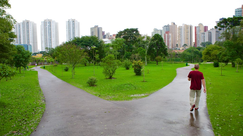 Parque Botânico de Curitiba caracterizando um parque e escalada ou caminhada assim como um homem sozinho