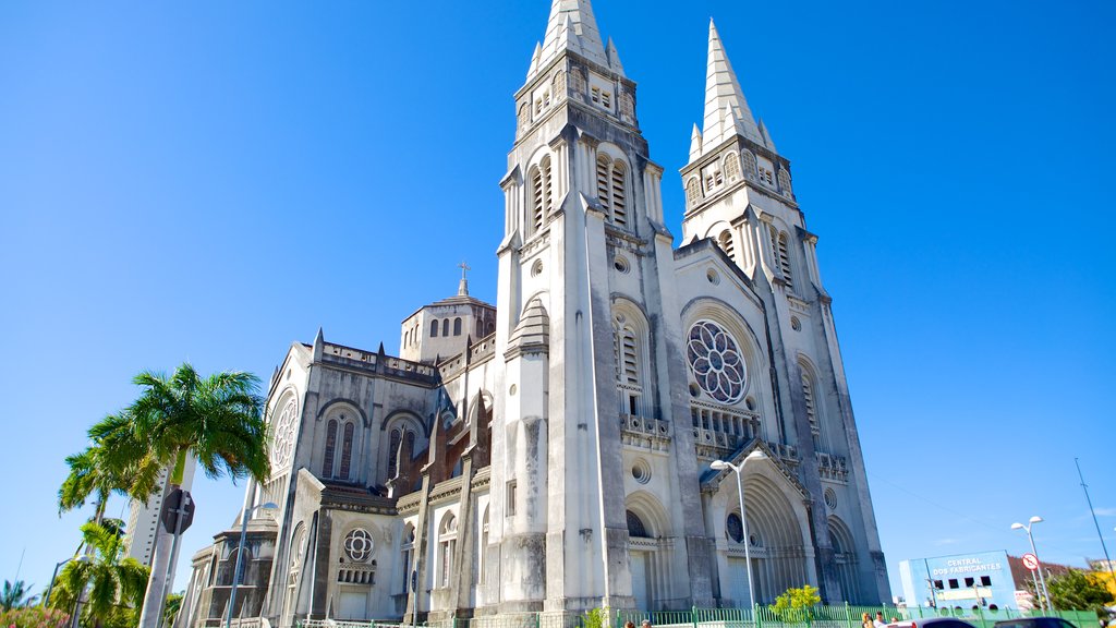 Catedral da Sé que inclui aspectos religiosos e uma igreja ou catedral