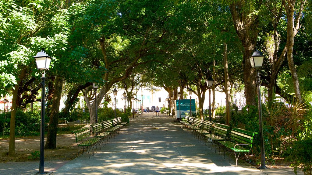 Passeio Público ofreciendo un parque