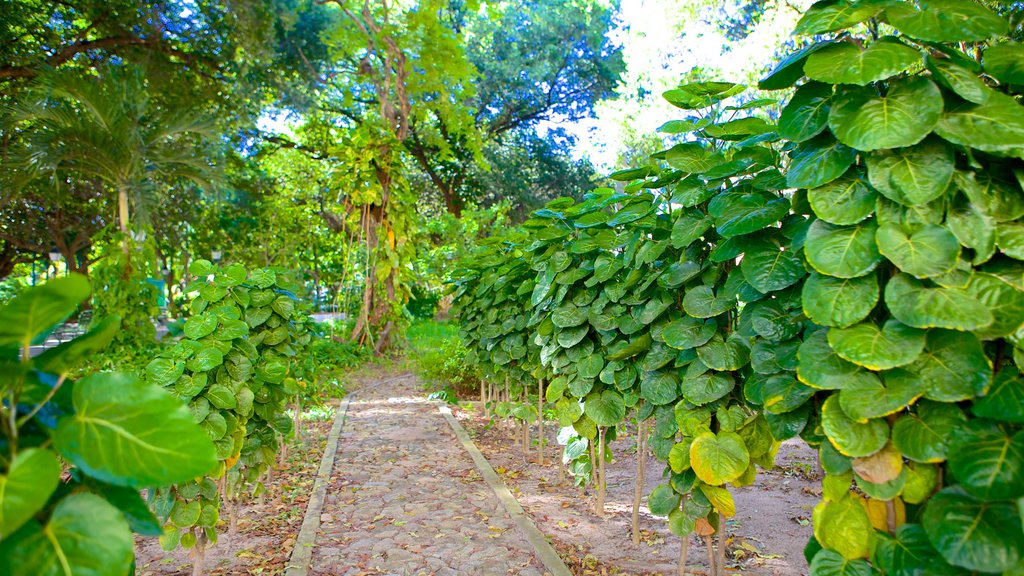 Passeio Publico which includes a park