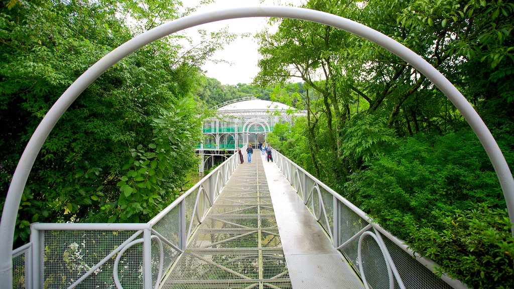 Ópera de Arame mostrando um parque e uma ponte