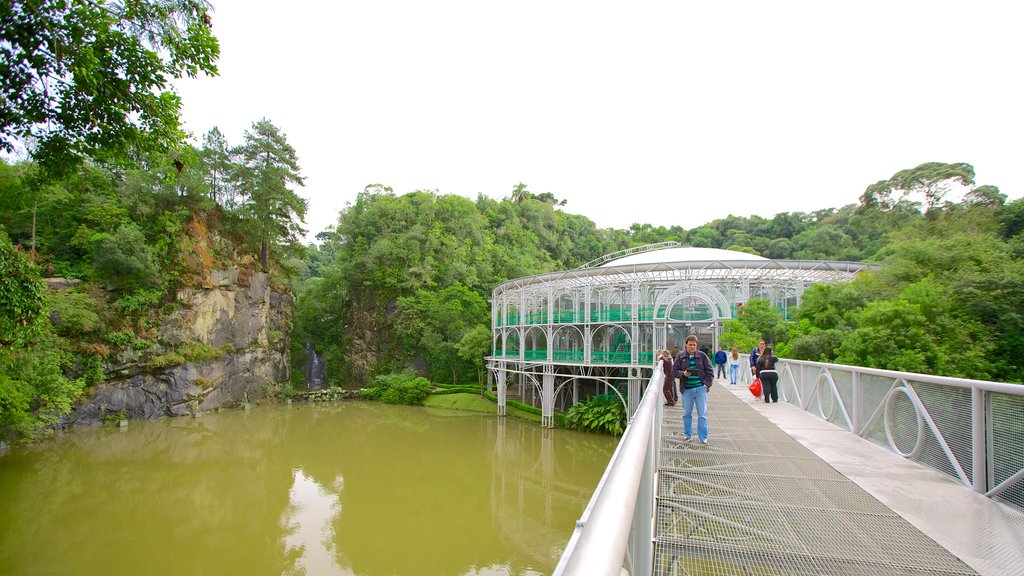 Teatro Ópera de Arame ofreciendo un puente y un río o arroyo